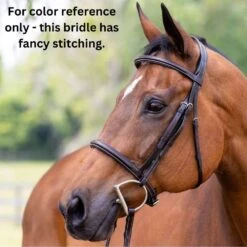 Vespucci Fancy Raised Hunter Bridle - New Style -Ovation Store NS810434N brown 1