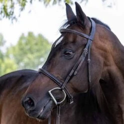 Vespucci Plain Raised Hunter Bridle - New Style -Ovation Store NS810435N 3 1