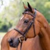 Vespucci Plain Raised Hunter Bridle - New Style 2 Vespucci Plain Raised Hunter Bridle - New Style -Ovation Store NS810435N 1
