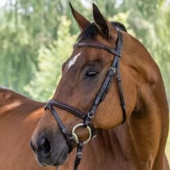 Vespucci Fancy Raised European Series Jump Bridle