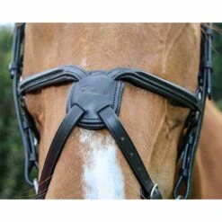 Vespucci Square Raised European Series Figure 8 Bridle 9 Vespucci Square Raised European Series Figure 8 Bridle -Ovation Store NS810474N black