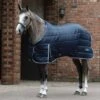 Saxon Quilted Stable Blanket Standard Neck