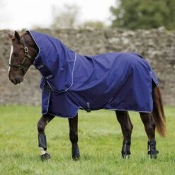 Amigo Hero 900 Plus Lite Disc Front 0g