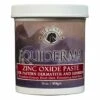 Equiderma Zinc Oxide Paste For Horses 16oz -Ovation Store NS8211076