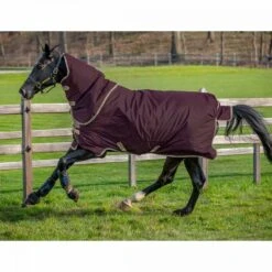 Amigo Hero Ripstop Plus Lite 0g -Ovation Store NS982033 fignavy 2