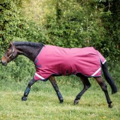 Rambo Original Turnout Lite With Leg Arches -Ovation Store NSAAAA05 burgundy 1