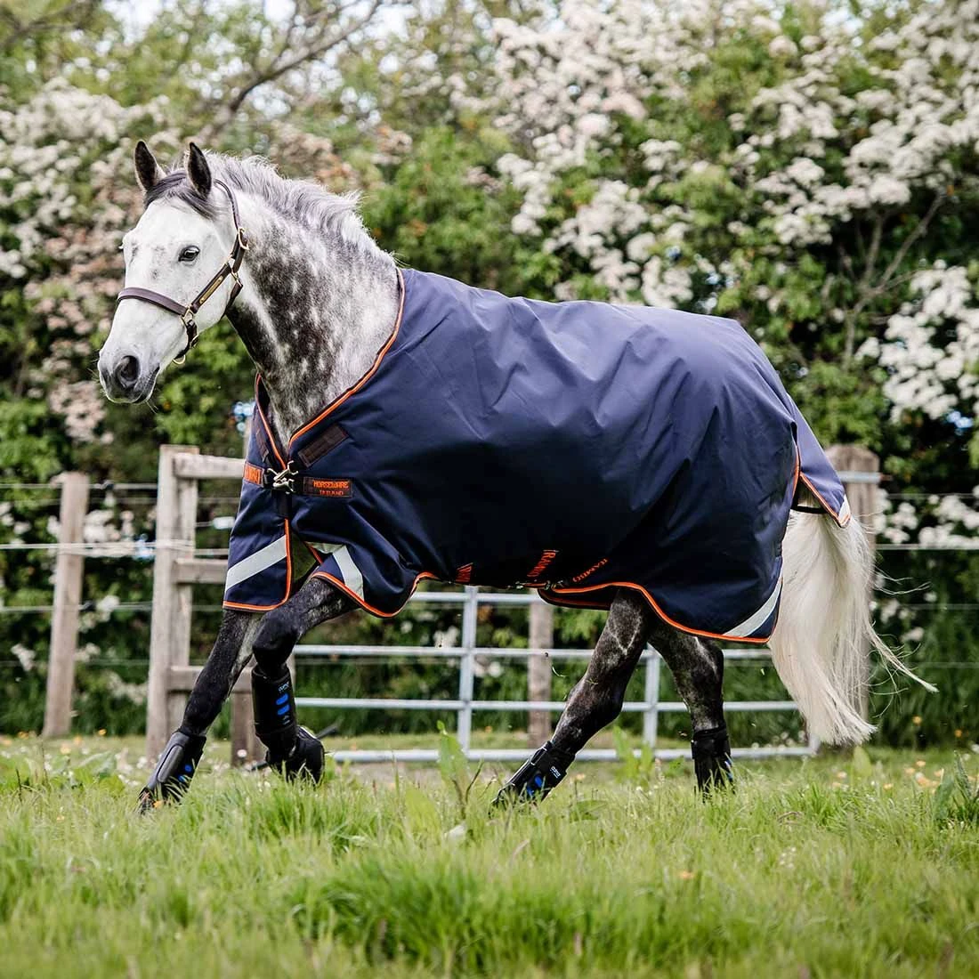 Rambo Original Turnout 100 Gm With Leg Arches 3 Rambo Original Turnout 100 Gm With Leg Arches