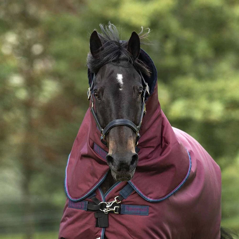 Rambo Original Hood Lite 4 Rambo Original Hood Lite - Image 2