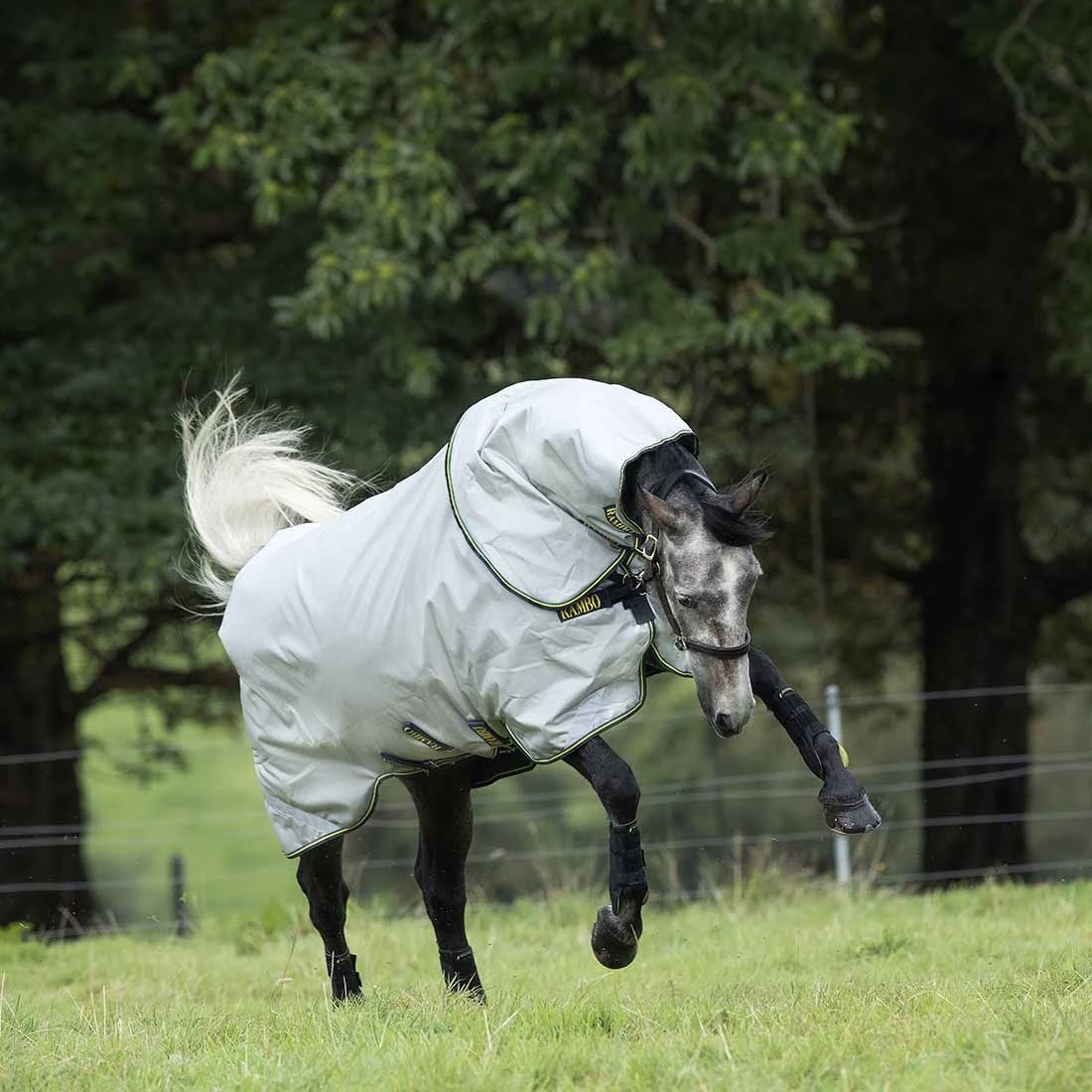 Rambo Duo Blanket Bundle Pack 3 Rambo Duo Blanket Bundle Pack