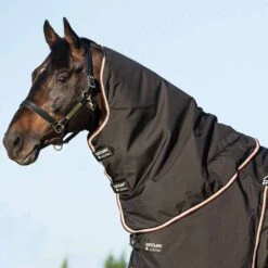 Rambo Optimo Turnout Hood - No Fill -Ovation Store NSAAAFNA blackorange 4