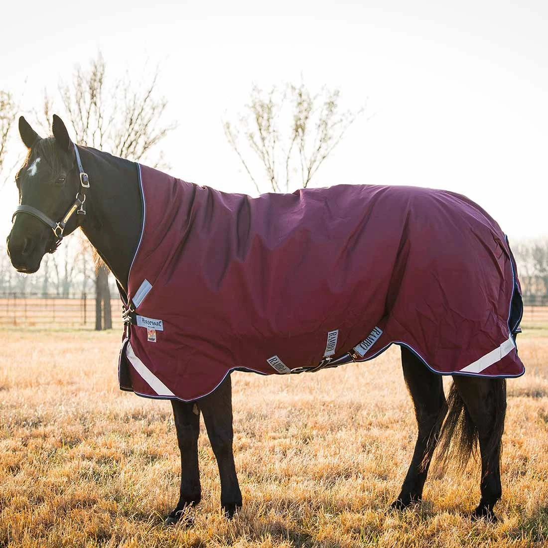 Rambo Wug Turnout - 50 Gram 3 Rambo Wug Turnout - 50 Gram