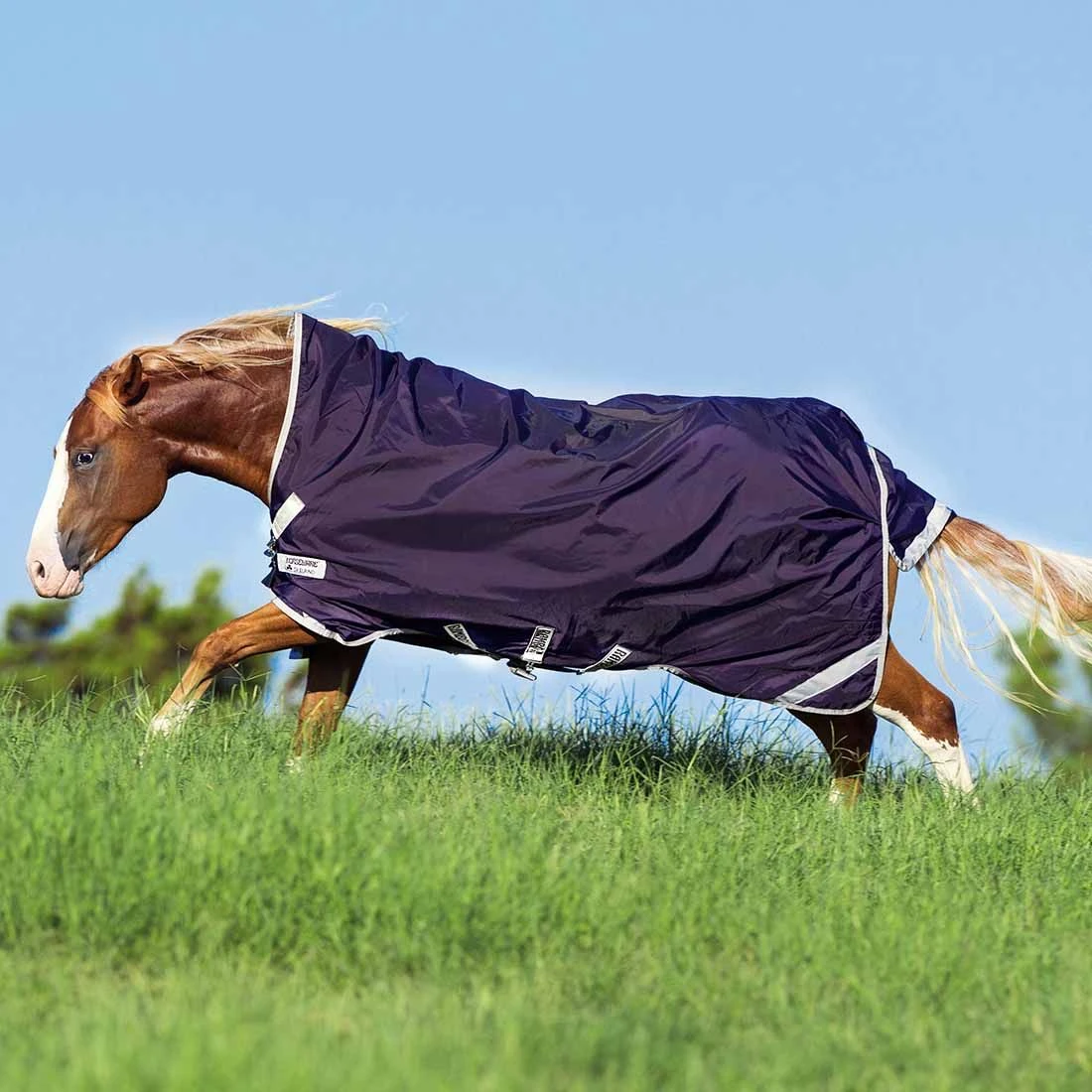 Rambo Wug Turnout Sheet 3 Rambo Wug Turnout Sheet