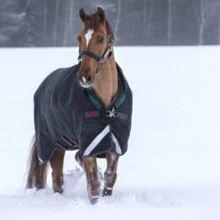 Rambo Wug Heavy Weight Turnout