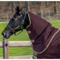 Amigo Hero Ripstop Hood 0g -Ovation Store NSAAPN90 Fignavytan 3