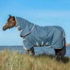 Amigo AmEco Bravo 12 Plus Lite Turnout