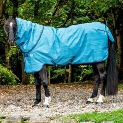 Amigo Hero 900 Revive Plus Medium -Ovation Store NSAARPL1 1 5