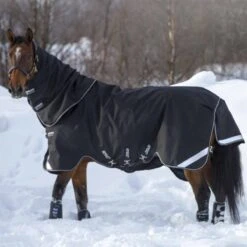 Amigo Super Bravo Plus 250g Turnout -Ovation Store NSAAWPK2 3 1