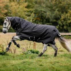 Amigo Super Bravo Plus 250g Turnout