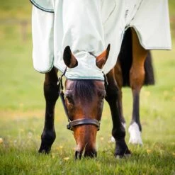 Rambo Hoody Fly And Summer Sheet -Ovation Store NSAFAP70 3 1