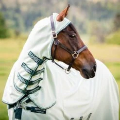 Rambo Hoody Fly And Summer Sheet -Ovation Store NSAFAP70 5 1