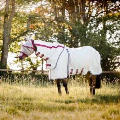 Rambo Optimo Supreme Summer Sheet - Disc Front