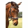 Nunn Finer Aformadi Flash Bridle -Ovation Store NSAFORM