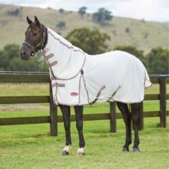 Weatherbeeta Comfitec Airflow Detach-A-Neck II -Ovation Store NSAIRFLOW2 whitedarkgreyorchid 18