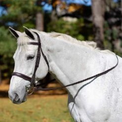 Equinavia Valkyrie Wide Noseband Hunter Bridle