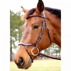 Nunn Finer Innovativo English Bridle -Ovation Store NSINNOV