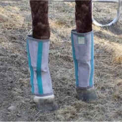 Majyk Equipe Fly-Bye Boots -Ovation Store NSMEAturquoise 1