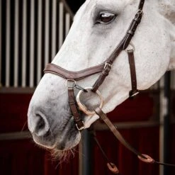 Rambo Micklem 2 Competition Bridle W/ Reins 12 Rambo Micklem 2 Competition Bridle W/ Reins -Ovation Store NSSBMOM2 side 1