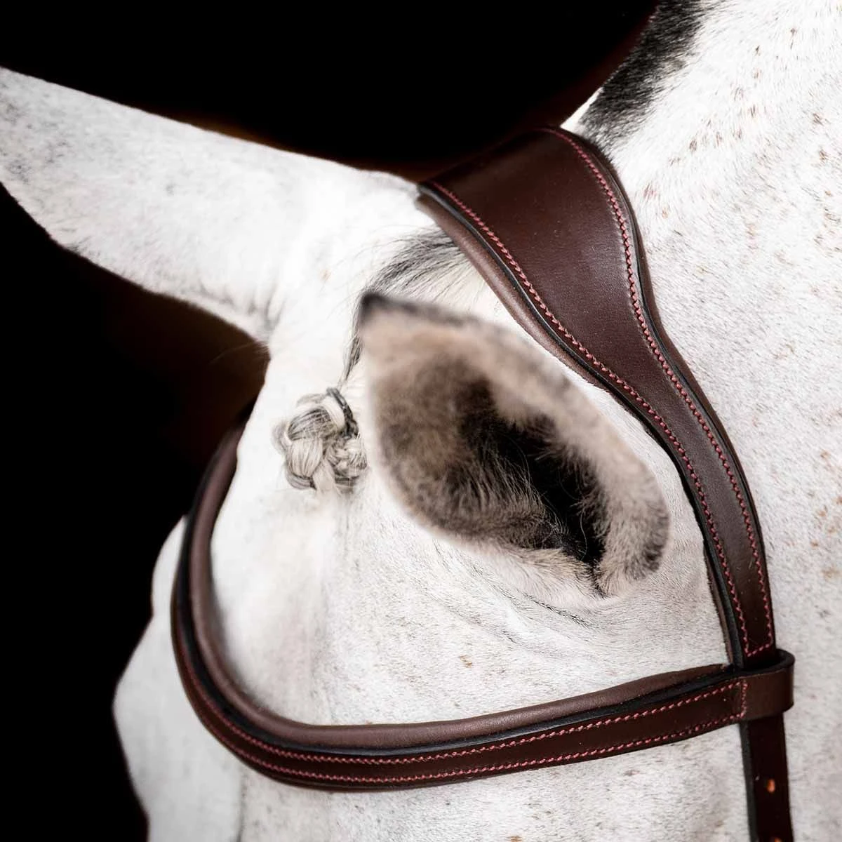 Rambo Micklem 2 Competition Bridle W/ Reins 5 Rambo Micklem 2 Competition Bridle W/ Reins - Image 3