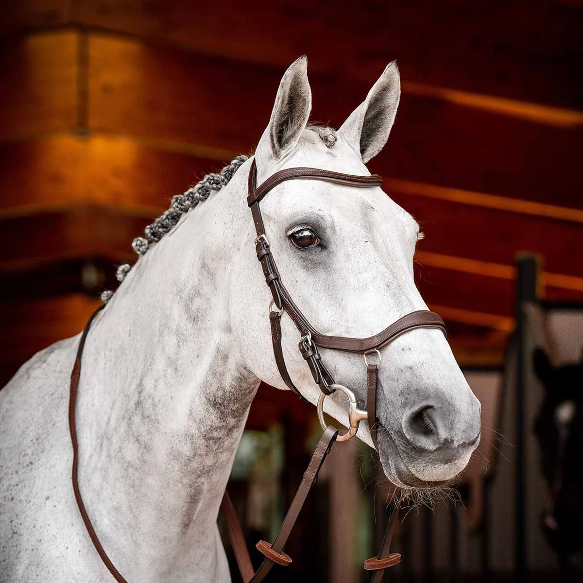 Rambo Micklem 2 Competition Bridle W/ Reins 4 Rambo Micklem 2 Competition Bridle W/ Reins - Image 2
