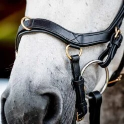 Rambo Micklem 2 Multi Bridle W/ Reins -Ovation Store NSSBMXM1 2