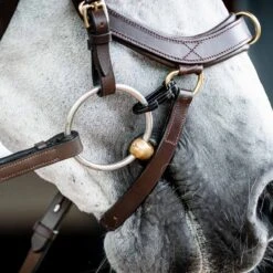 Rambo Micklem 2 Multi Bridle W/ Reins -Ovation Store NSSBMXM1 3