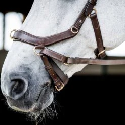 Rambo Micklem 2 Multi Bridle W/ Reins -Ovation Store NSSBMXM1 4