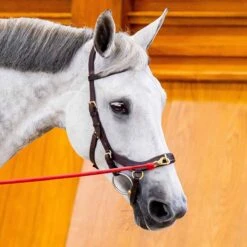 Rambo Micklem 2 Multi Bridle W/ Reins -Ovation Store NSSBMXM1 5