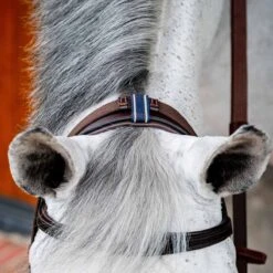 Rambo Micklem 2 Multi Bridle W/ Reins -Ovation Store NSSBMXM1 6