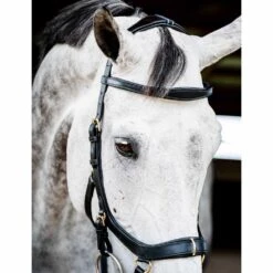 Rambo Micklem 2 Multi Bridle W/ Reins -Ovation Store NSSBMXM1 black 3