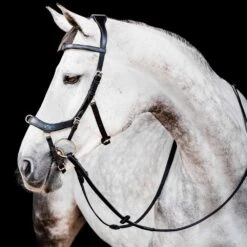Rambo Micklem 2 Multi Bridle W/ Reins -Ovation Store NSSBMXM1 4