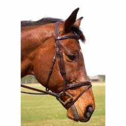 Nunn Finer Victoria Flash Bridle With Patent Leather