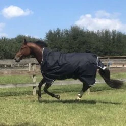 Amigo Bravo 12 Medium Weight Wug-Exclusive Color -Ovation Store amigo wug 2 4