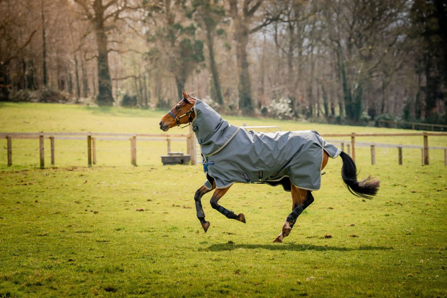 Ovation Store -Ovation Store z6466663880354 f0fa821504267067eb4d97024fec9256