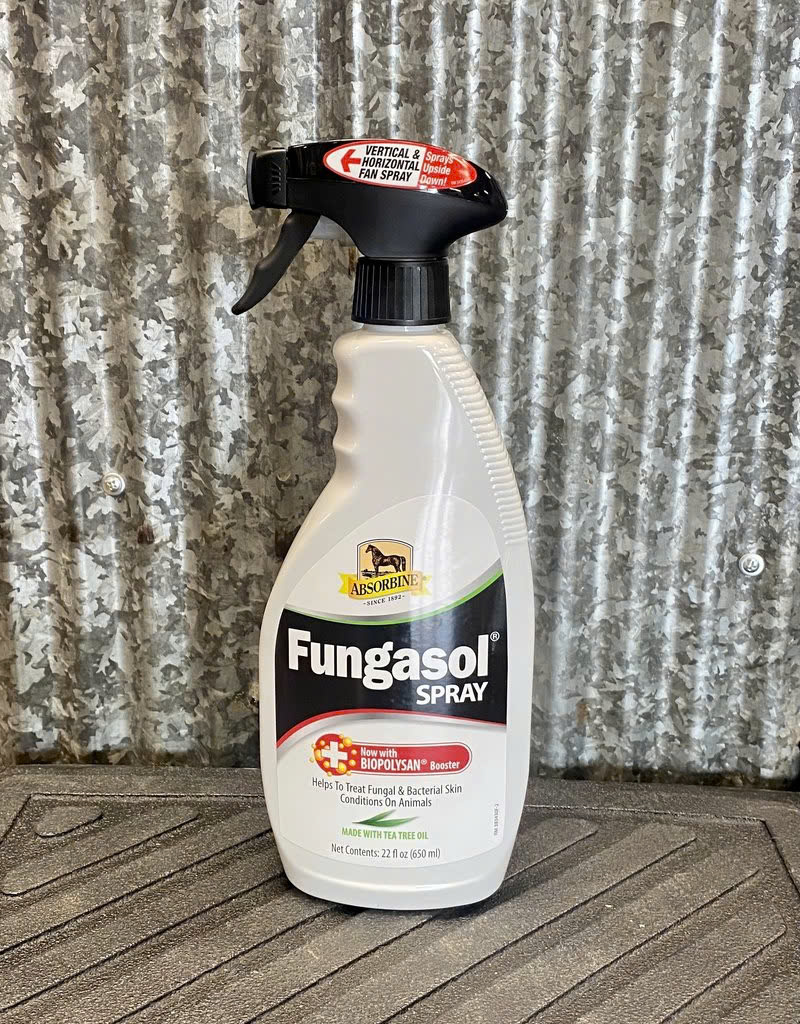 Ovation Store -Ovation Store z6467095980318 3273ededad9933afcc5b67a228cb4540